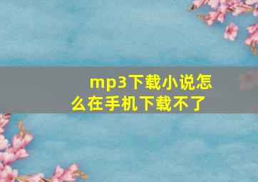 mp3下载小说怎么在手机下载不了