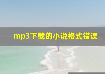 mp3下载的小说格式错误