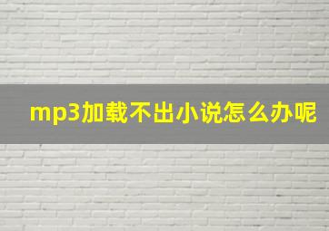 mp3加载不出小说怎么办呢