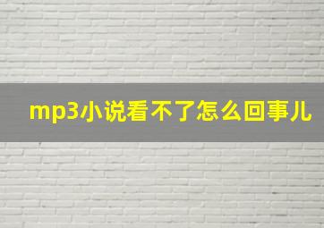 mp3小说看不了怎么回事儿