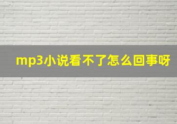 mp3小说看不了怎么回事呀