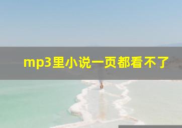 mp3里小说一页都看不了