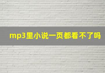 mp3里小说一页都看不了吗