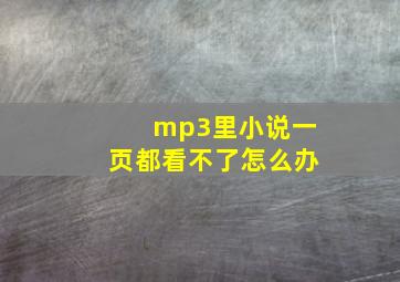 mp3里小说一页都看不了怎么办