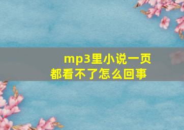 mp3里小说一页都看不了怎么回事