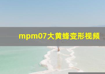 mpm07大黄蜂变形视频