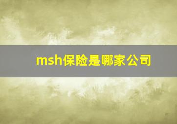 msh保险是哪家公司