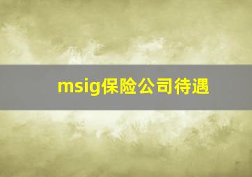 msig保险公司待遇