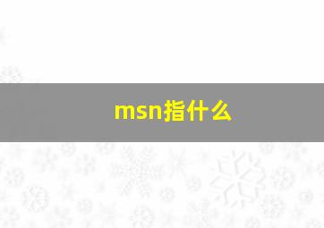 msn指什么