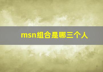 msn组合是哪三个人