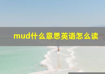 mud什么意思英语怎么读