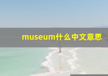 museum什么中文意思