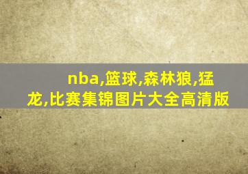 nba,篮球,森林狼,猛龙,比赛集锦图片大全高清版