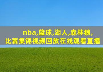 nba,篮球,湖人,森林狼,比赛集锦视频回放在线观看直播