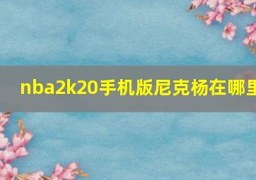 nba2k20手机版尼克杨在哪里