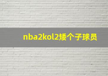 nba2kol2矮个子球员