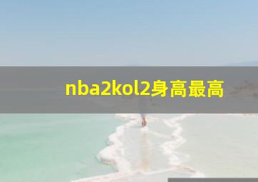 nba2kol2身高最高