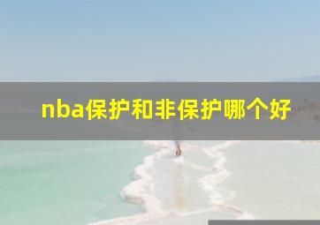 nba保护和非保护哪个好