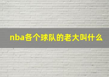 nba各个球队的老大叫什么