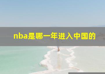 nba是哪一年进入中国的