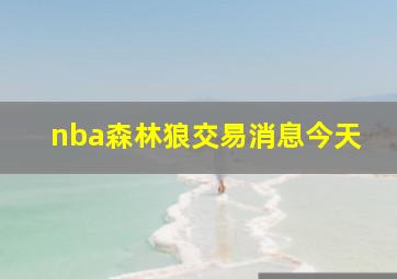 nba森林狼交易消息今天