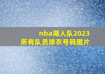 nba湖人队2023所有队员球衣号码图片