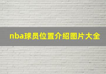 nba球员位置介绍图片大全