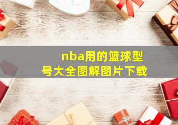 nba用的篮球型号大全图解图片下载