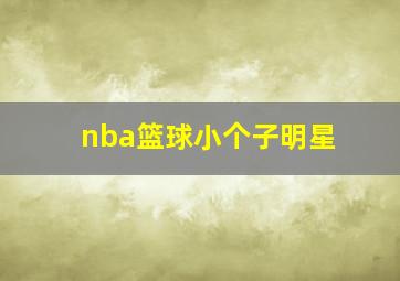 nba篮球小个子明星