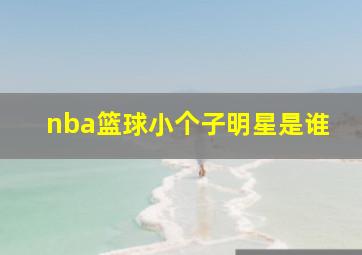 nba篮球小个子明星是谁