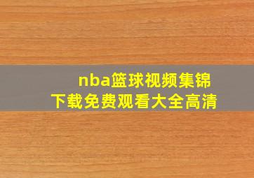 nba篮球视频集锦下载免费观看大全高清