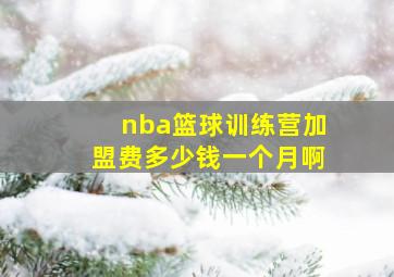 nba篮球训练营加盟费多少钱一个月啊