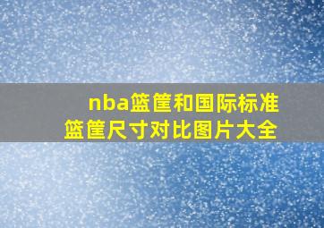 nba篮筐和国际标准篮筐尺寸对比图片大全