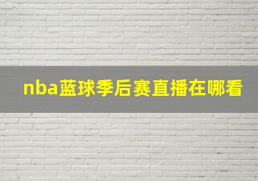 nba蓝球季后赛直播在哪看