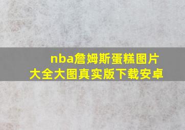 nba詹姆斯蛋糕图片大全大图真实版下载安卓