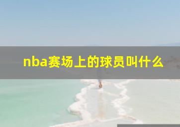 nba赛场上的球员叫什么