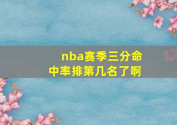 nba赛季三分命中率排第几名了啊