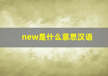 new是什么意思汉语