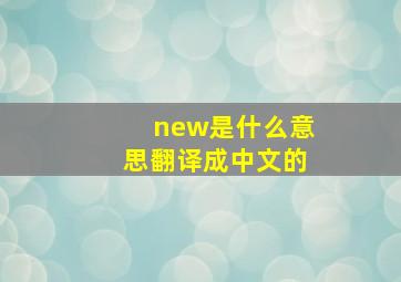 new是什么意思翻译成中文的