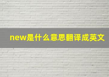 new是什么意思翻译成英文