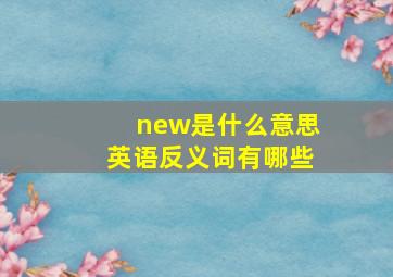 new是什么意思英语反义词有哪些