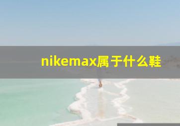 nikemax属于什么鞋