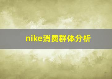 nike消费群体分析