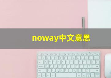 noway中文意思