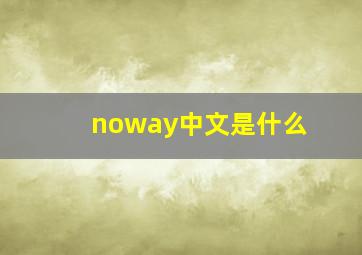 noway中文是什么