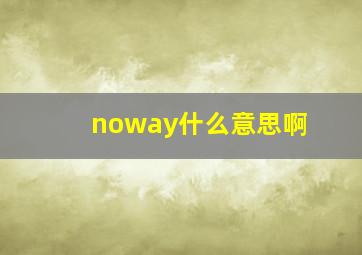 noway什么意思啊