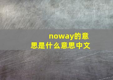 noway的意思是什么意思中文