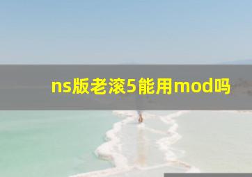 ns版老滚5能用mod吗