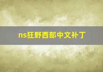 ns狂野西部中文补丁