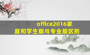 office2016家庭和学生版与专业版区别